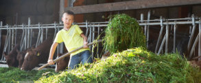 Sommer-FerienCamp der Kindergruppe Petershausen