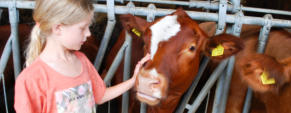 Sommer-FerienCamp der Kindergruppe Petershausen
